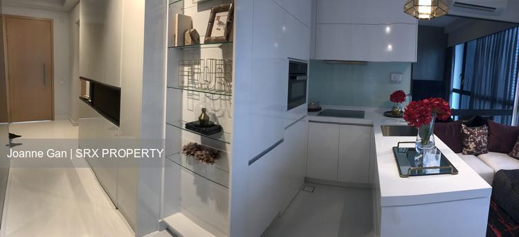 Onze @ Tanjong Pagar (D2), Apartment #202433372